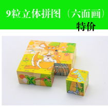 Six-face painting 9 three-dimensional building block puzzle animal cartoon educational toy children wooden baby box