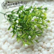 Shooting props single 5 fork branches Milan grass simulation green plants beautiful pictures Joker photography props