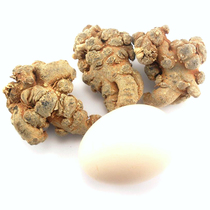 Zhenai Xuan Sanqi Yunnan Wenshan Super Grand Spring Sanqi 15 head (15-16) 500 grams Tianqi