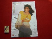 New limited promotion Chinese classic nostalgic album poster star album nostalgic collection Kwong Meiyun