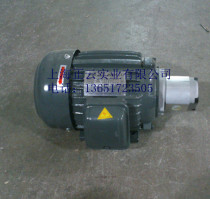 Quality Assurance of Hydraulic Motor Gear Pump Group Oil Pump Motor Unit 1HP HGP-1A-F3R