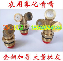 2 points 4 points all-copper agricultural nozzle sprayer nozzle garden art lawn spray irrigation atomization cooling micro nozzle