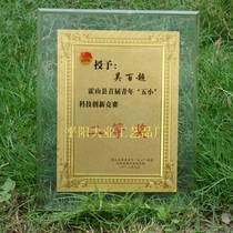 Gold leaf acrylic medal custom plexiglass authorized agent brand factory direct free design bronze medal