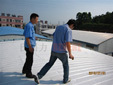 Cement asphalt SBS coil linoleum resin tile PVC roof thermal insulation sunscreen reflective cooling paint paint