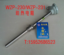 WZP-230 WZP-231 PT100 platinum thermal resistance PT100 temperature sensor fixed thread thermocouple