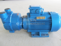 Shanghai production brand 2BV type vacuum pump SKA type new direct-connected water ring vacuum pump