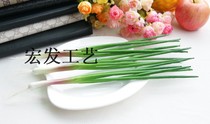 Simulation of vegetables fruit simulation scallion seedlings green onions simulation green onions simulation green onions green
