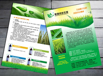 Shenzhen color page flyer printing custom production printing design custom color business card