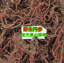 Original ecological wild Salvia miltiorrhiza farm self-digging blood ginseng root tea red root purple salvia tea