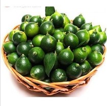 3 kg of fresh fruit Vietnamese green Kumquat Small green orange pho iced orange tea seasoning 500g