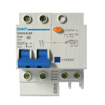 Chint bipolar 60A leakage circuit breaker DZ47LE 2p 60A air switch with leakage protector 2 pole C60