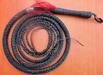 Ring whip punch drill promotion six meters fitness ring whip Shepherd whip Martial arts whip leather handle send whip sheath