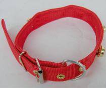 Special price: bell neckline small dog dog ring small number neck ring neck ring young dog item ring