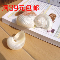 Conch shell Coral Wedding floor wall stickers Home decoration Fish tank Aquarium fluorescent salamander snail Hermit crab shell