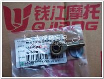 The Yellow Dragon 600M6 left knuckle head (levos)