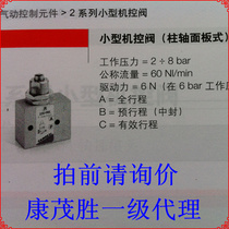 kang mao sheng (CAMOZZI) CAMOZZI 234-985 235-985 244-985 245-985