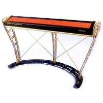 Continuum Fingerboard Sliding Strip Keyboard Synthesizer