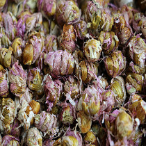 Yunnan red rod soft-legged Dendrobium dendrobium maple bucket slag can swallow less than 100 grams