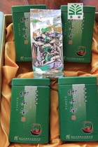 2021 Early Spring Bud Tea International Gold Award Zhejiang Top ten famous tea Wuyi Township Yu Tea Wuyang Spring rain factory direct