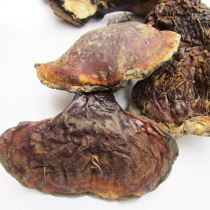 Ganoderma lucidum Changbai Mountain Ganoderma lucidum Northeast Chiji Changbai Mountain Chiji lucidum 300g Jilin Ganoderma