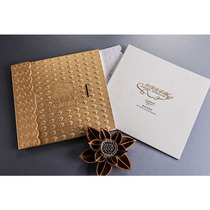 (Fire Kirin) Great book cover book cover book cover (BPC) Series BPC-2 Foreign musicians