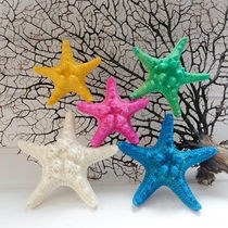 Natural overlord five-finger steamed bun starfish specimen decorative shell conch coral ornaments Mediterranean crafts landscaping