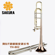 SAKURA (SAKURA)YH-802 tone change phosphorus copper tenor long gift
