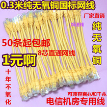 ZTE Network Cable Computer broadband cable national standard copper 0 3 m more than 5 class jumper room network jumps