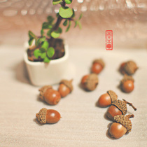 zakka home ornaments dried flowers pine cones natural acorn diy forest ornaments decorations photography photo props