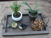 Foreign trade export solid wood do old color iron double ear rectangular set three pallets gardening storage photo props