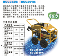 Suzhou black cat high pressure washer car wash machine pressure high flow large BCC2520 2018B electronic control box control