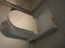 HCG and integrated toilet C5519LT slow down cover silent double Press water saving Jet siphon toilet