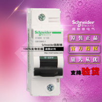 New Original Schneider A9N19824 small circuit breaker C120H 1P C125A air switch