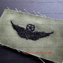 US Gongfa Jun Edition Lu Jun Air Force Expert Pilot Skills Badge M65 Combat Suit Perfect Match