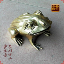 Feng Shui Bronzer Supplies Copper Frog Handicraft Pendulum Pieces Toad Toad Bronze Golden Toad Home Adornment