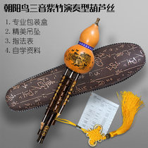 Yunnan Zizhu Hulusi Musical Instrument Students Children Adult Beginner C Down B Tone A Big GF Professional Performance