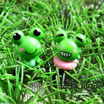 Micro Landscape Eco Bottle DIY Materials Accessories Lovers Frog VIEW BASIN PAPARAZZI GARDENING PENDULUM MINI PLANT