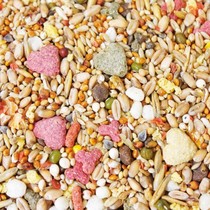 Spot Germany JR Farm (13678) JR bear class hamster grain feast base grain 600G