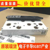 SKIIP83AC12T1 SKIIP82AC12T1 SKIIP83AC12T2 SKKP82AC12T2