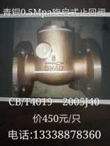 Swing check valve CBM1127 A 825040