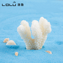 Loru white coral home decoration ornaments shell conch creative wedding vase fish tank jewelry