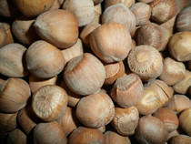 New cargo wild hazelnut raw hazelnut Northeastern small hazelnut squirrel Grain Magic King Gold Floral Tooth 500 gr
