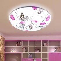 Discount LED ceiling lamp Round modern simple living room lamp Bedroom lamp Aisle balcony lamp Kitchen and bathroom lighting lamps