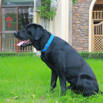 Full dog breeds suitable for large medium and small quality comfortable foam pet collar dog collar dog collar collar collar collar collar