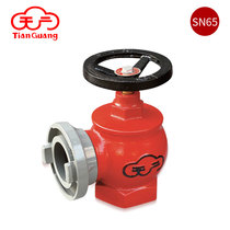 Direct selling Tiantang indoor fire toolbox switch fire hydrant valve 2 inch fire hydrant fire hose tap SN65