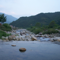 Late Orange cant shoot this