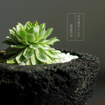 Tengchong Volcanic Stone Natural Flower pot Stone Flower pot Flower pot Volcanic Rock Flower Pot Fleshy Calamus Flower pot Black Red