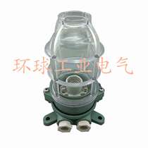 Supply marine incandescent resin work lamp DS7-2M 792057 220V60W with net cover lampshade