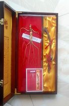 Chinese Treasure Mountain ginseng deer whip Ganoderma lucidum deer fluffy film gift box ginseng gift box ginseng