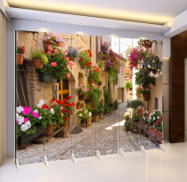 European Street pastoral scenery warm screen partition fashion living room entrance bar coffee beauty YY anchor